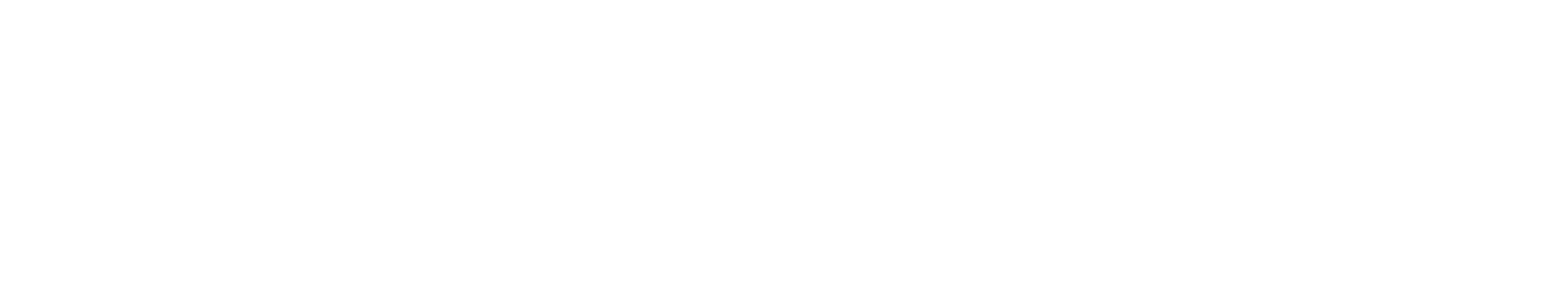 PromoSan Logo